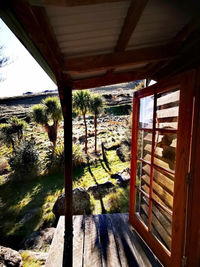 Manaaki Mai, Rustic Retreat Bush Cabin Otel Christchurch Dış mekan fotoğraf