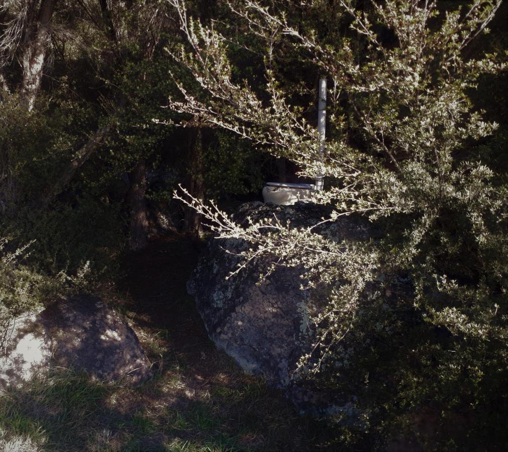 Manaaki Mai, Rustic Retreat Bush Cabin Christchurch Dış mekan fotoğraf