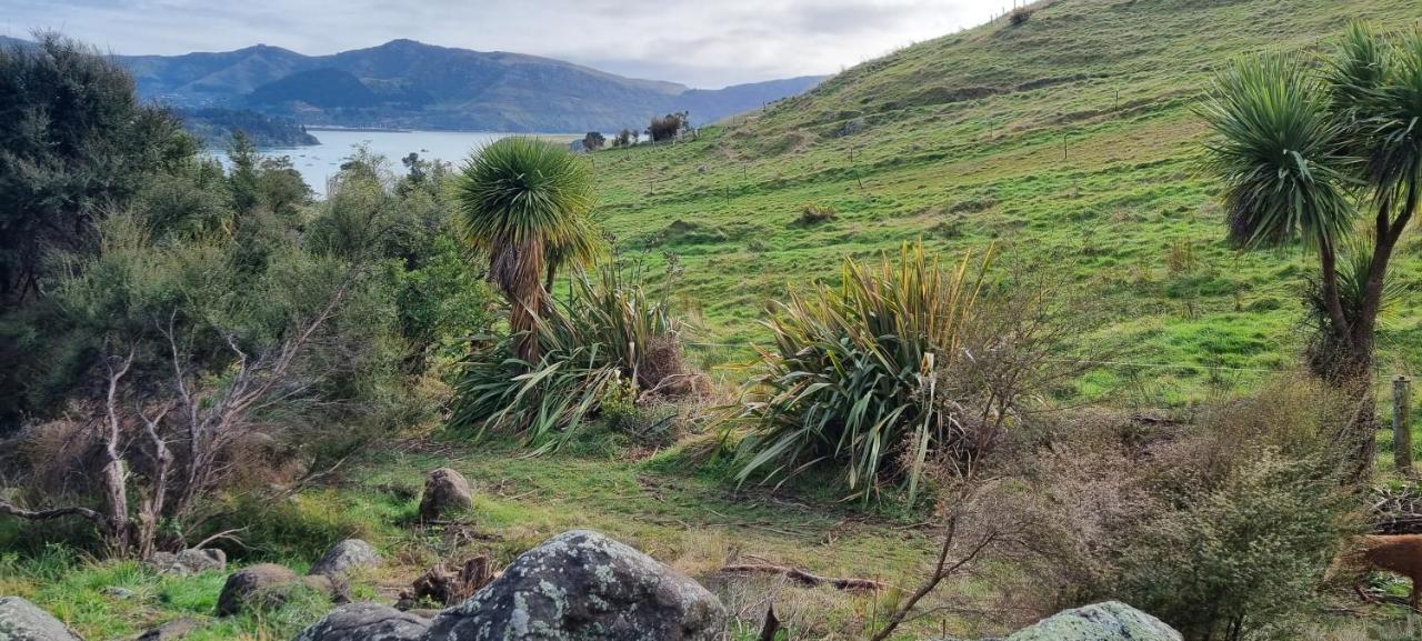 Manaaki Mai, Rustic Retreat Bush Cabin Christchurch Dış mekan fotoğraf