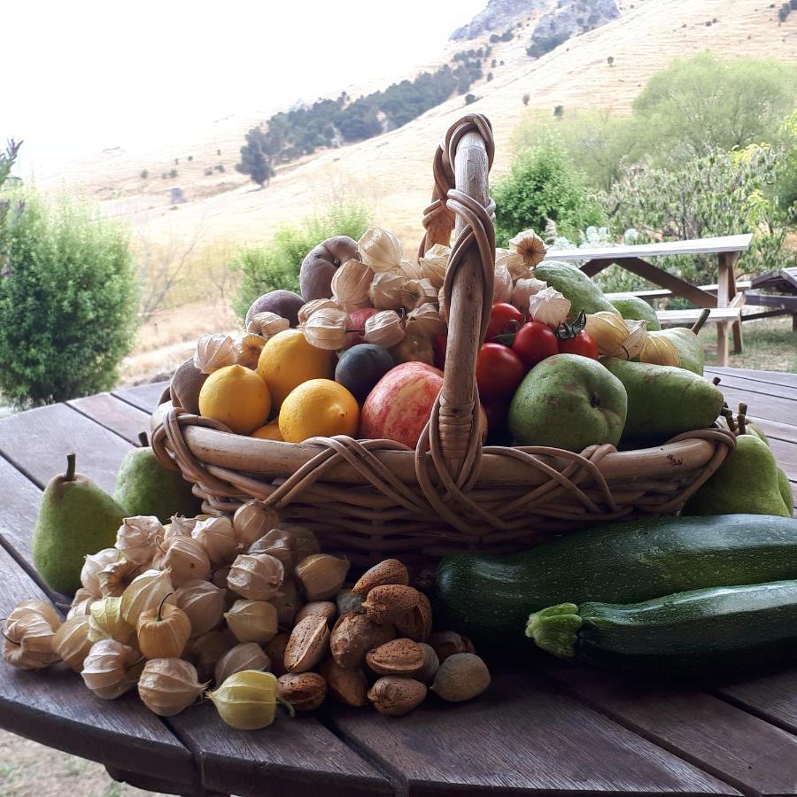 Manaaki Mai, Rustic Retreat Bush Cabin Otel Christchurch Dış mekan fotoğraf