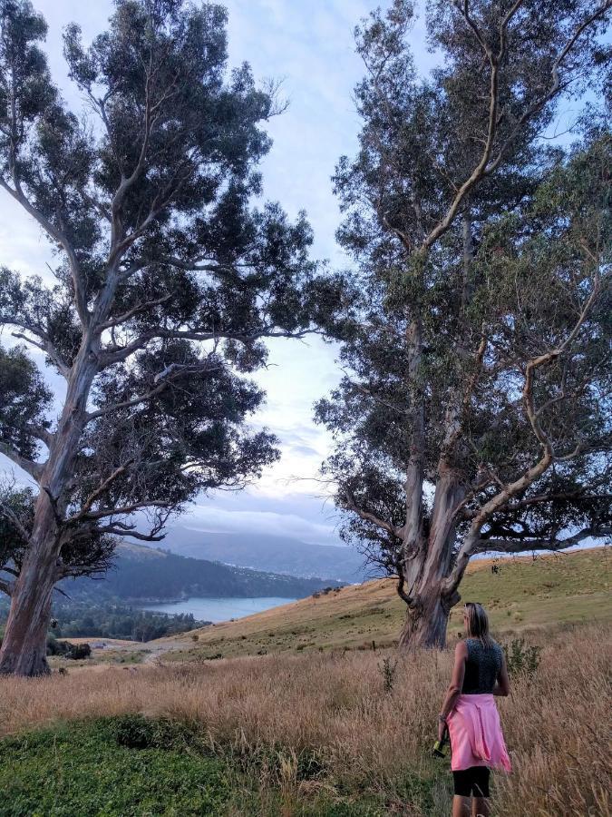 Manaaki Mai, Rustic Retreat Bush Cabin Christchurch Dış mekan fotoğraf